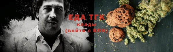 гашик Вязьма