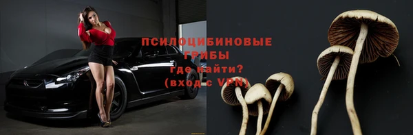 гашик Вязьма