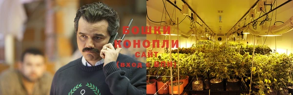 гашик Вязьма