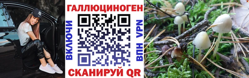 даркнет клад  Волжский  kraken ссылки  Псилоцибиновые грибы прущие грибы  где найти наркотики 